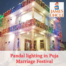 Pandal lighting in Puja Marriage Festival Mr. Suman Sarkar in Birati